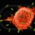 IMMUNE-SYSTEM IMMUNE-SYSTEM