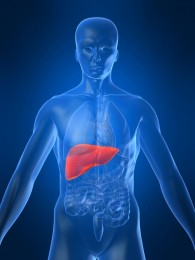 liver acupuncture gold coast