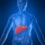 liver acupuncture gold coast liver acupuncture gold coast