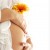 fertility acupuncture gold coast fertility acupuncture gold coast