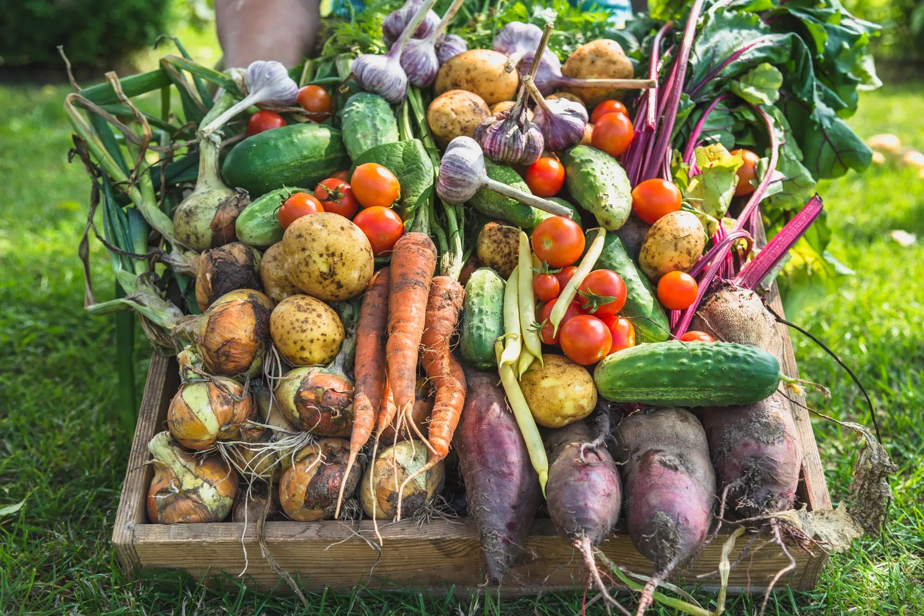 organic fruit and vegetables