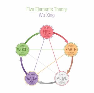 five elements theory wuxing wu xing in taoism and tcm traditional chinese medicine 5 elements chart conceptual illustration on white background 2BA700K