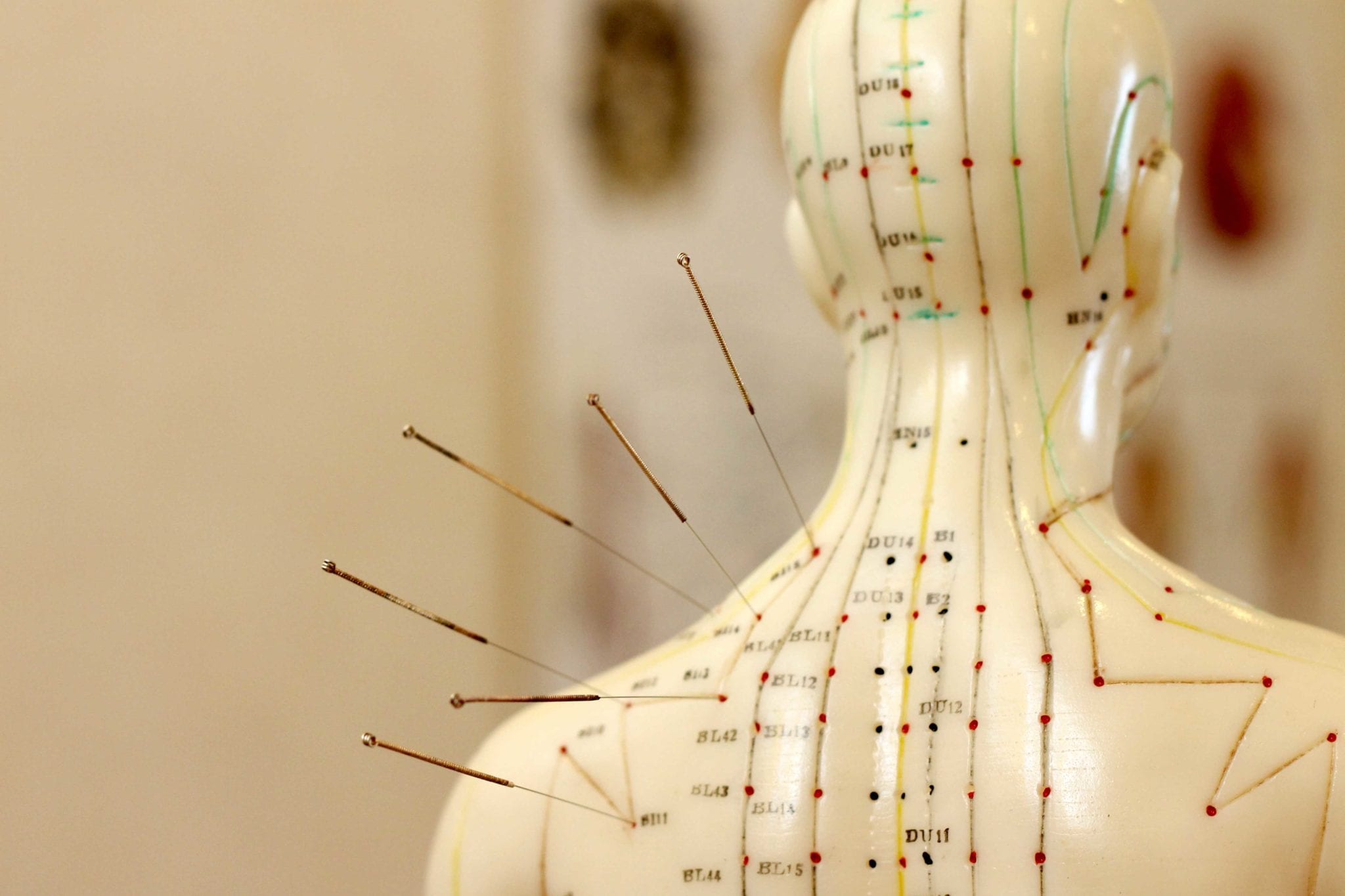 Acupuncture Chart and Meanings