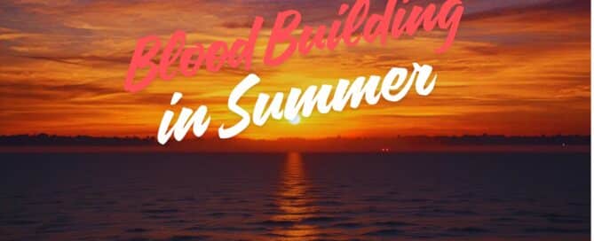 Blood building in Summer