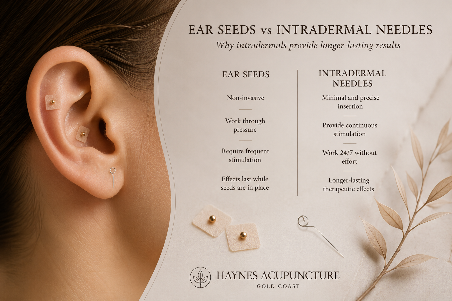 ear seeding acupuncture gold coast